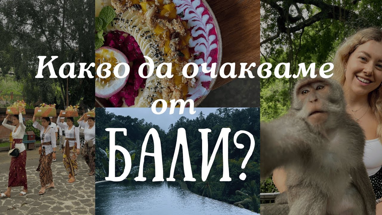 УБУД без филтър 🌿🐒
