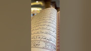 مقام كرد وصبا من سورة ق بصوت القارئ أسامةيعقوب الكردي