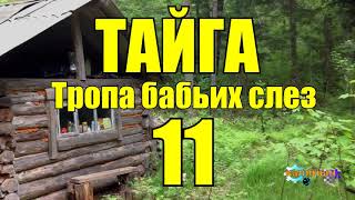 ОТШЕЛЬНИКИ | ЖИЗНЬ В ТАЙГЕ  11 из 16