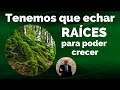 Tenemos que echar RAÍCES para poder CRECER