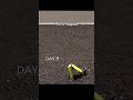 #video #ai #aianimation #aiart #art #animation #airplane #aivideo #aishorts #aigenerated