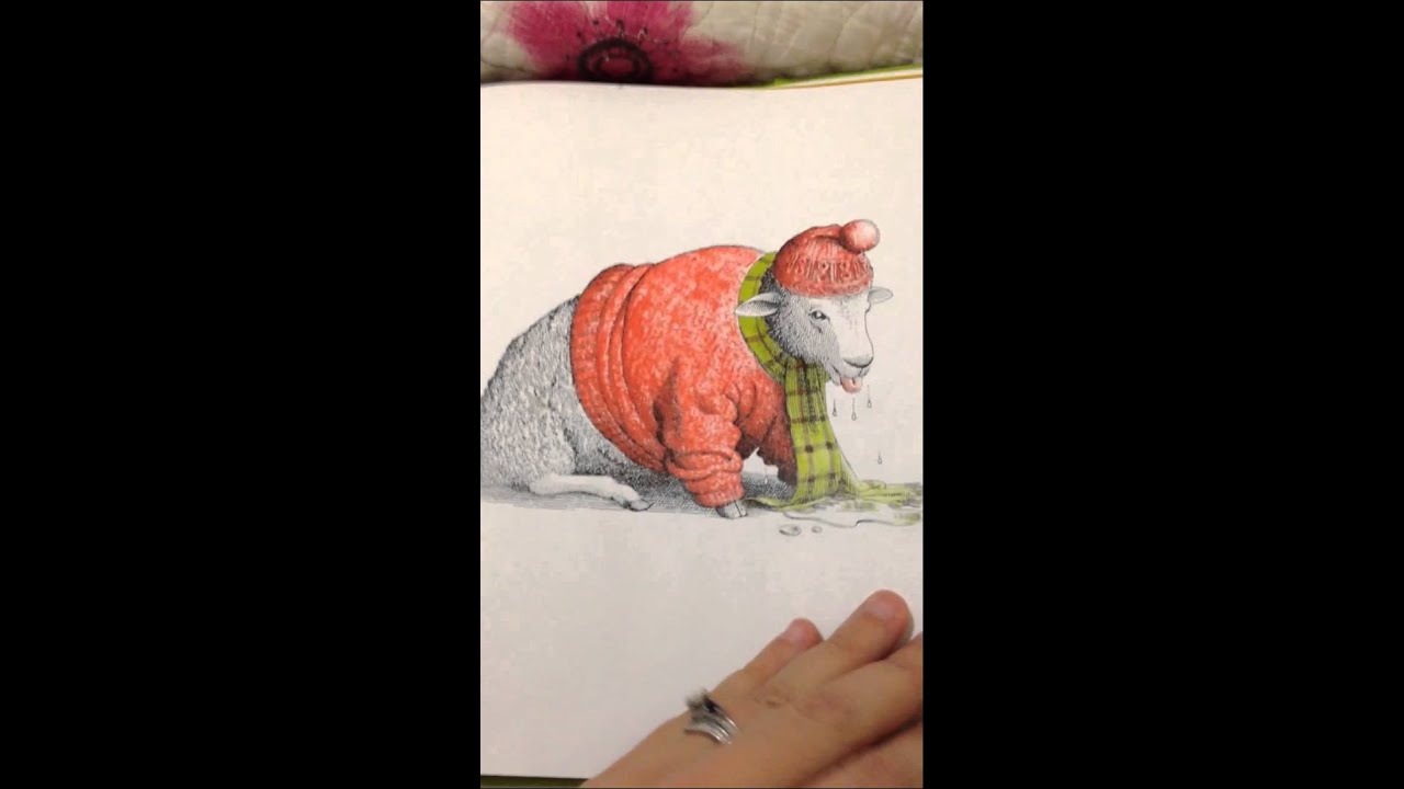 Animals should definitely not wear clothing YouTube