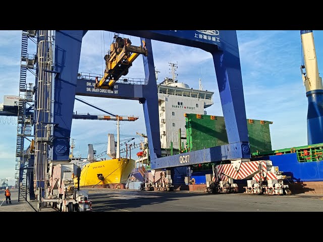 Quay Crane Operation: Daily Routine MC Trader Moreta Cargo ship for Loading/ Episode 42 class=