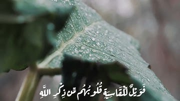 تلاوة خاشعة ومؤثرة لما تيسر من سوره الزمر بصوت عذب وجميل