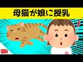 親子猫まるごと飼ったら、猫たちの娘への愛情表現が可愛すぎたwww【2chほのぼの】