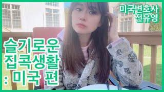 미국 코로나 집콕 브이로그 l 미국 변호사🇺🇸👩🏻‍⚖️ 에디션