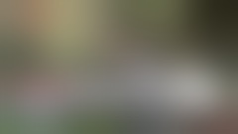 Tahura Bandung Nature Tourism, Education, and Visitor stories