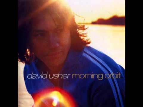 David Usher - Joy In Small Places