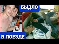 КАК Я ОПОЗОРИЛСЯ ЗА ВСЕХ ВАХТОВИКОВ В ПОЕЗДЕ!