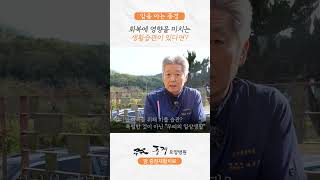 🌲 회복에 영향을 미치는 생활습관이 있다면?ㅣ 암을아는풍경 ㅣ풍경요양병원 🌲