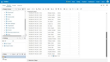 HCM Analytics | How do I create an OTBI analysis with a subquery filter?