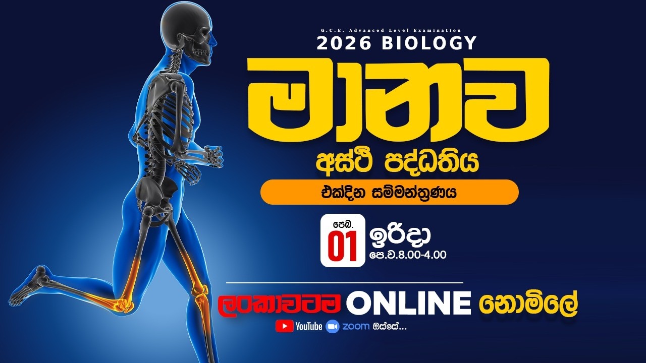 Human skeletal system seminar