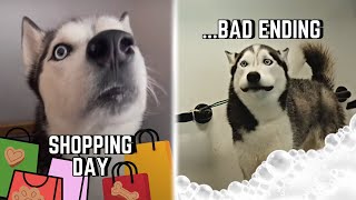 Day in the life of Moon! Shopping & DRAMATIC BATH TIME!