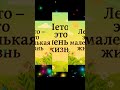 Лето - это маленькая жизнь!