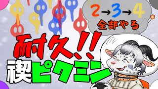 【耐久ピクミン禊】今年のやり残しを来年に残さない覚悟の配信【新人ケモノ系Vtuber】