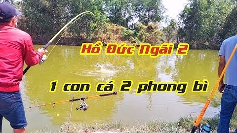 Tập 47.hồ câu ĐỨC NGÃI 2 ( đức hòa long an) Bengb