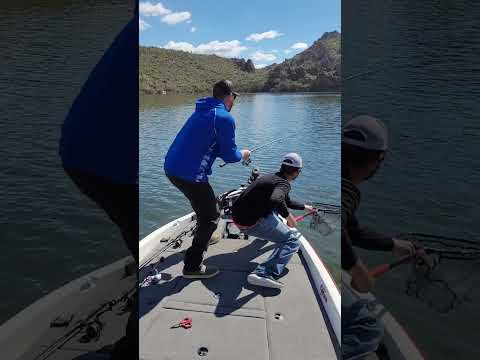 Video: Saguaro Lake rekreasjon nær Phoenix, Arizona