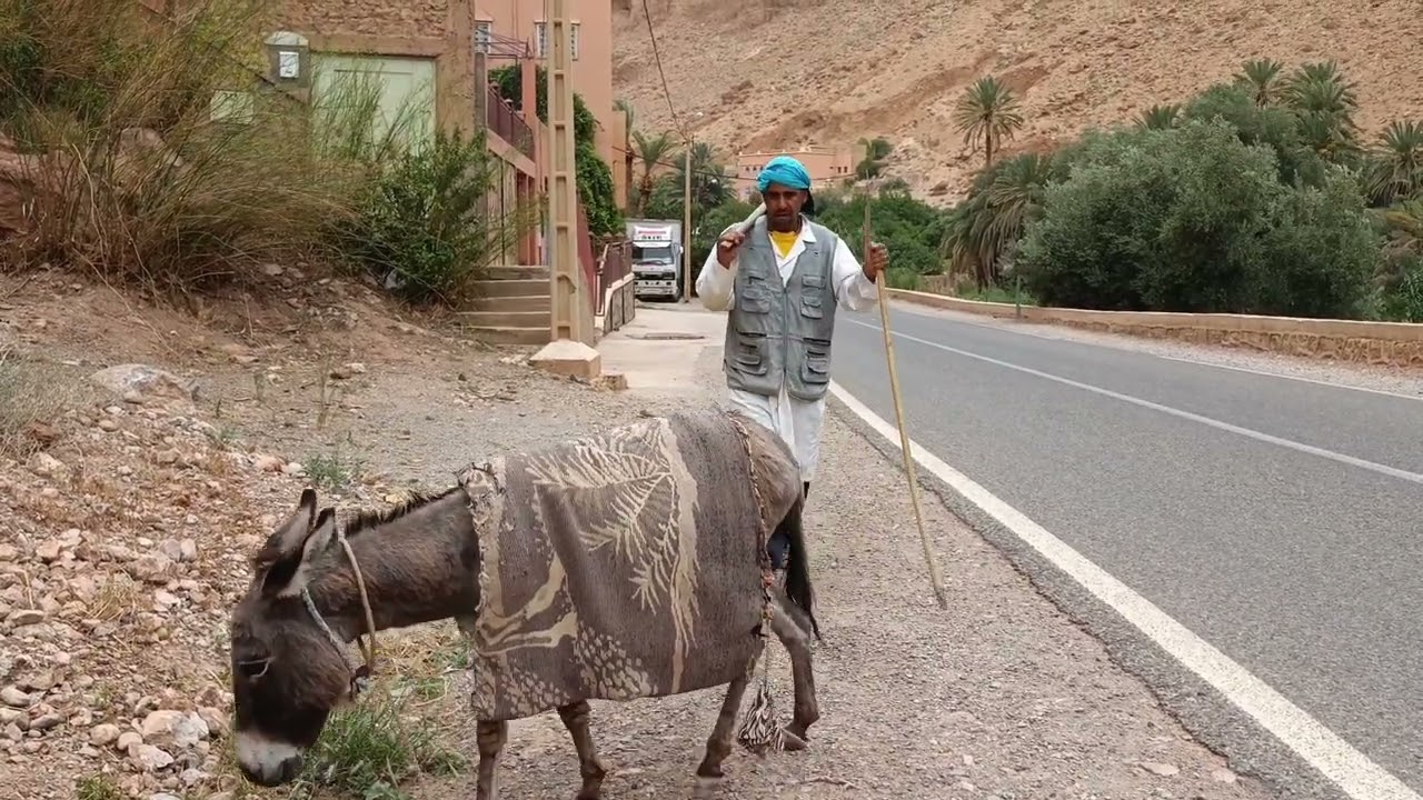 tabehlalat=تابهلالات