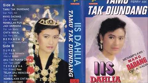 iis dahlia tamu tak diundang