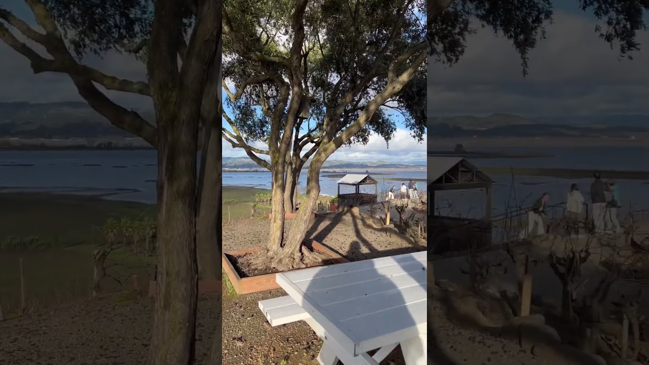 The winery I forgot its name. It has great views. 