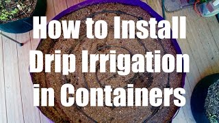 How to Install a Drip Irrigation System in Containers // Growing Your Fall Garden #5
