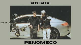 Download Lagu PENOMECO - Shy (Eh O) (instrumental) MP3