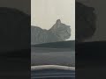 #cat #car #qatar