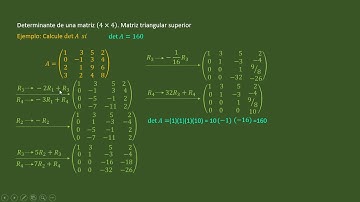 1. Determinante 4x4. Matriz Triangular Superior. Ejercicio Resuelto