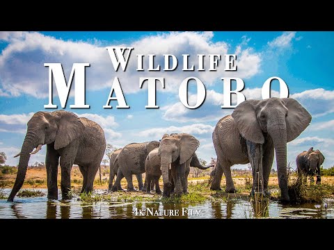 Бейне: Матобо ұлттық паркінің сипаттамасы мен суреттері - Зимбабве: Булавайо