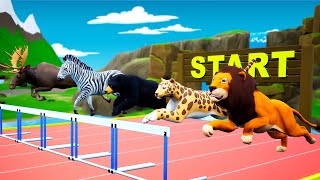 ANIMALS HURDLES RUNNING RACE | Animals Speed | Hurdle Racing | Animals Videos