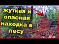 Коп 2021 в Беларуси | ОБАЛДЕЛ от этой НАХОДКИ!! Опасная находка в лесу | Коп монет в Беларуси 2021