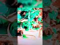 28 мая 2025 г.