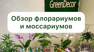 Обзор флорариумов и моссариумов в компании GreenDecor.