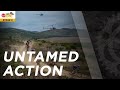 Untamed Action | Stage 3 | 2022 Absa Cape Epic