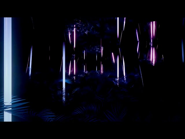 Duke & Jones - Reflection