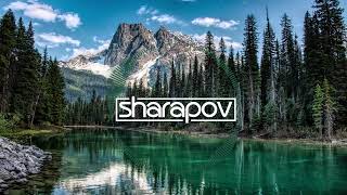 Platon feat. Joolay - Over (Dmitry Glushkov Remix)