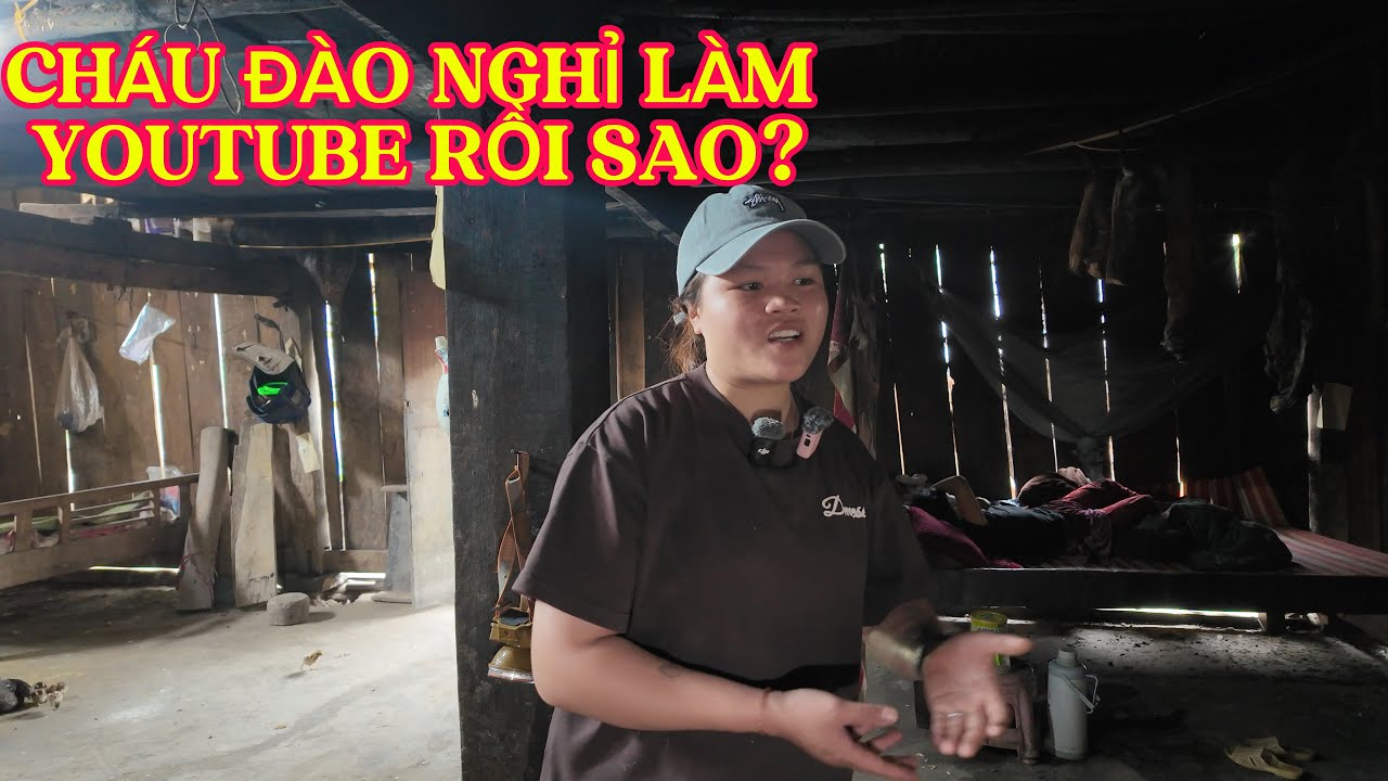  Lời Đồn”Cháu Đào Đã Nghỉ Làm YouTube” Liệu Có Đúng Sự Thật?