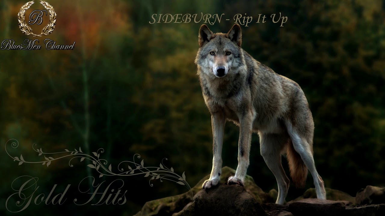 Watch SIDEBURN - Rip It Up - (BluesMen Channel "Blues Rock Super Hits") on YouTube Watch SIDEBURN - Rip It Up - (BluesMen Channel "Blues Rock Super Hits") on YouTube