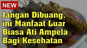 Jangan Dibuang, Ini Manfaat Luar Biasa Ati Ampela Bagi Kesehatan Jangan Dibuang, Ini Manfaat Luar Biasa Ati Ampela Bagi Kesehatan