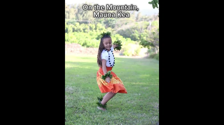 “He Mele No Lilo” with English translation