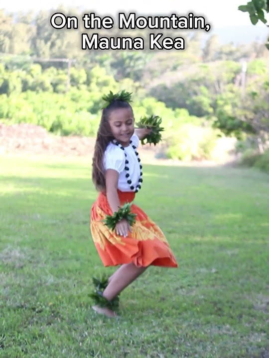 He Mele No Lilo Translation To English “He Mele No Lilo” with English translation - YouTube