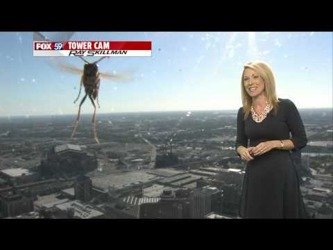 Bee 'attacks' Meteorologist Jennifer Ketchmark during weather forecast