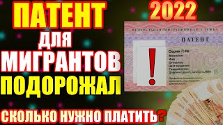 ПАТЕНТ ДЛЯ МИГРАНТОВ! Сколько Нужно Платить За Патент в 2022 Году.