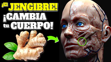 ¿Qué efecto tiene el jengibre en el cerebro?