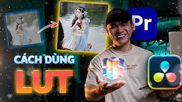 Cách sử dụng LUT hiệu quả, tối ưu trên các phần mềm dựng phim Davinci Resolve và Premiere Pro