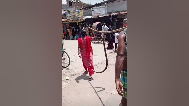 মহিলাটি কিভাবে রাসেল ভাইপার সাপটিকে ধরে নিয়ে যাচ্ছে দেখুএন #fun #raselviper #viralvideo #fbreels