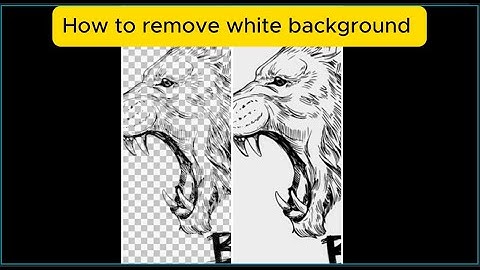 How To Remove White Background And Make It Transparent In Photoshop