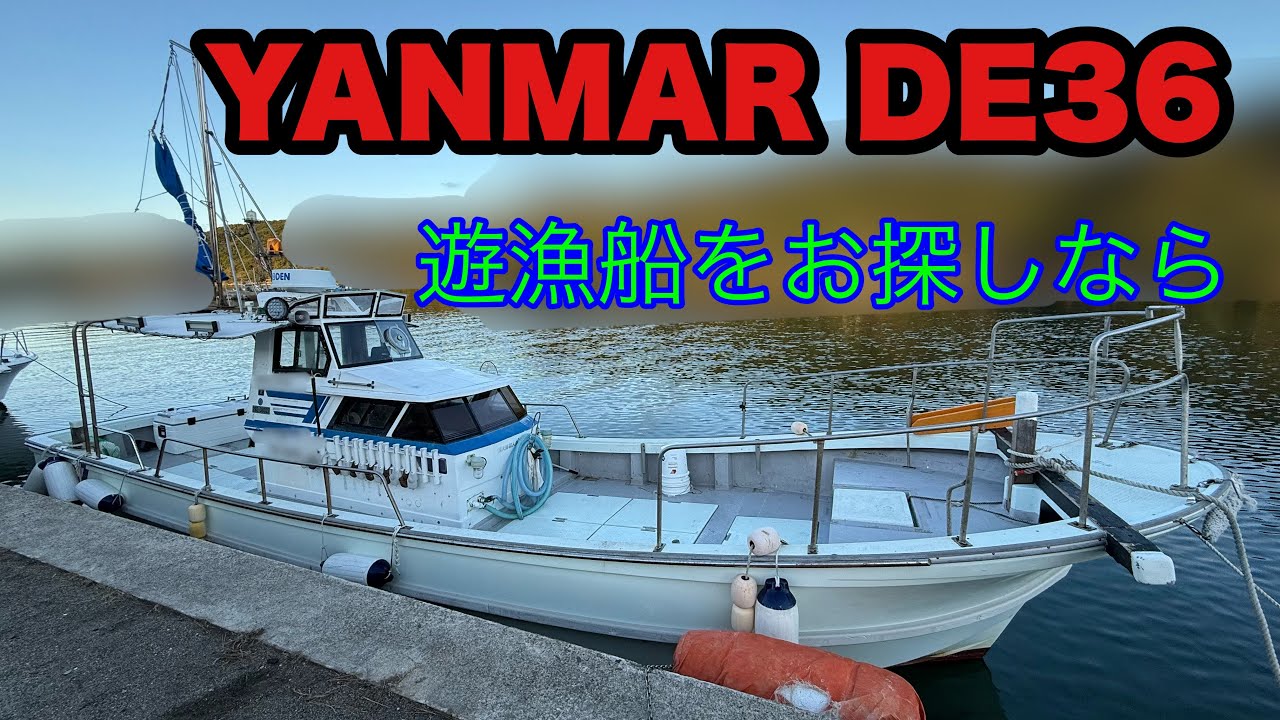 ヤンマー DE36Fフル装備 【S-241101】 | 中古船・中古艇・中古 