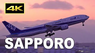 [4K] Shooting at 8 degrees below zero - Winter Plane Spotting at Sapporo New Chitose Airport / 新千歳空港