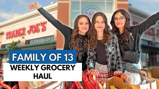 Big Family Grocery Haul With Shopping List  Let's Go Shopping!